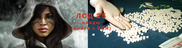 сатива Волосово