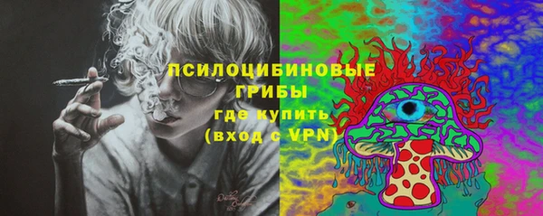 сатива Волосово